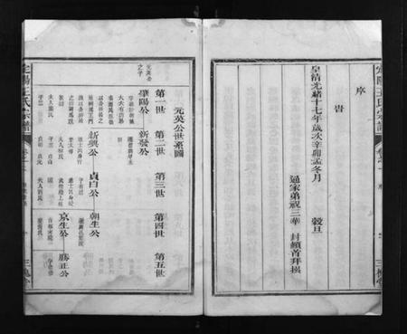 浙江王氏族谱-定阳王氏宗谱 [2卷].pdf电子版插图4