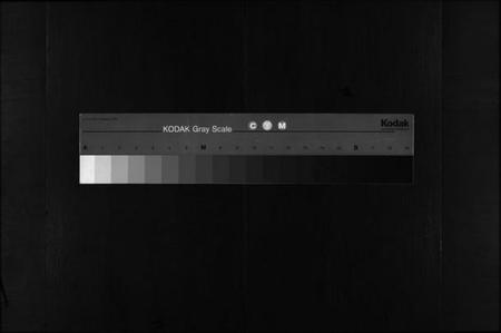 浙江叶氏族谱-富塘叶氏宗谱 [不分卷].pdf电子版