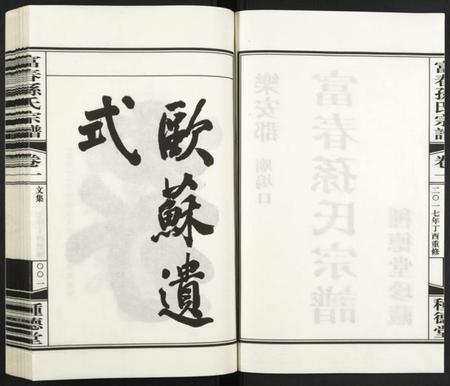 浙江孙氏族谱-富春孙氏宗谱.pdf电子版插图2