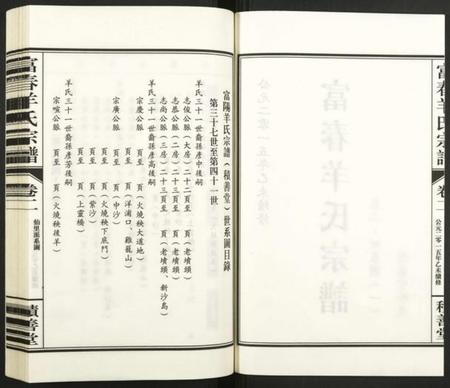 浙江羊氏族谱-富春羊氏宗谱.pdf电子版插图2