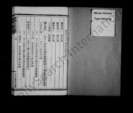 浙江王氏族谱-宁溪王氏宗谱.pdf电子版插图2