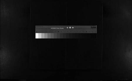 浙江何氏族谱-小芙蓉何氏宗谱 [不分卷].pdf电子版