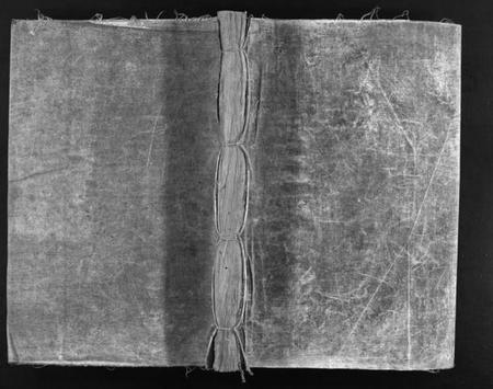 浙江何氏族谱-小芙蓉何氏宗谱 [不分卷].pdf电子版插图1