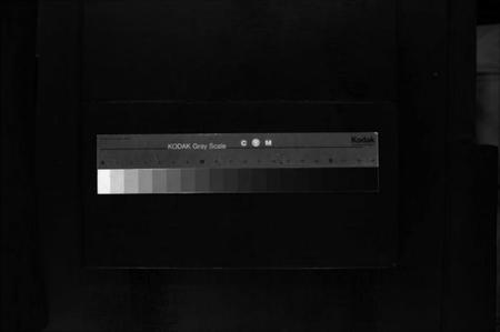 浙江尚氏族谱-尚氏宗谱 [不分卷].pdf电子版