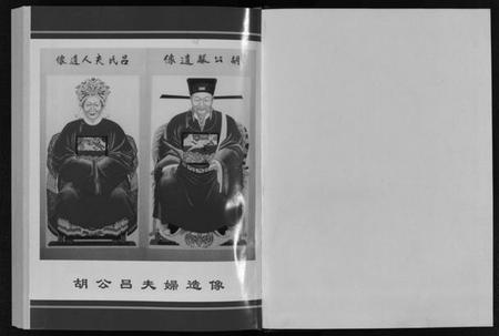 浙江胡氏族谱-屏山胡氏宗谱 [4卷].pdf电子版插图2