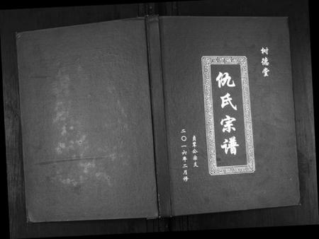 江苏仇氏族谱-仇氏宗谱.pdf电子版插图