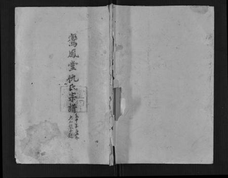 江苏仇氏族谱-鸾凤堂仇氏宗谱[不分卷].pdf电子版