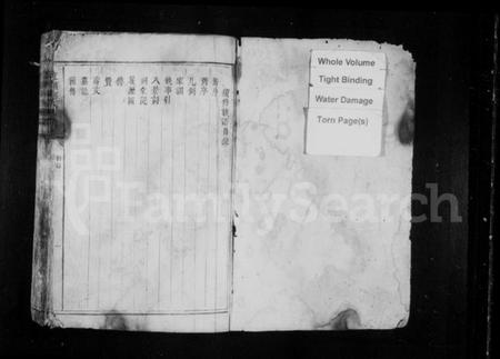 湖南何氏族谱-江头何氏族谱.pdf电子版插图2