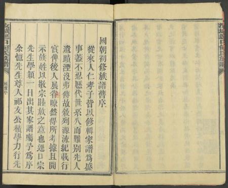 湖南何氏族谱-汝城迳口何氏族谱 [残卷].pdf电子版插图4