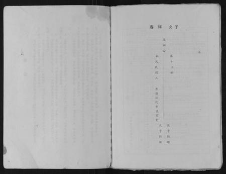 江苏从氏族谱-清廉堂从氏修立支谱.pdf电子版插图2