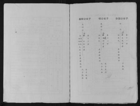 江苏从氏族谱-清廉堂从氏修立支谱.pdf电子版插图4