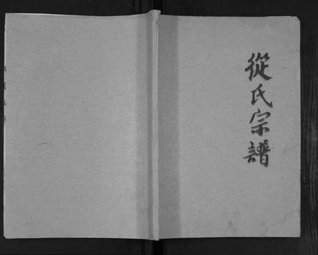 湖北从氏族谱-从氏宗谱[不分卷].pdf电子版插图