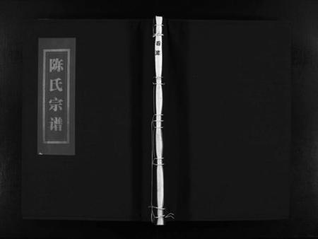 浙江陈氏族谱-岙底陈氏宗谱 [不分卷].pdf电子版插图1