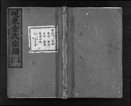 浙江金氏族谱-岘东金氏宗谱 [8卷].pdf电子版插图1