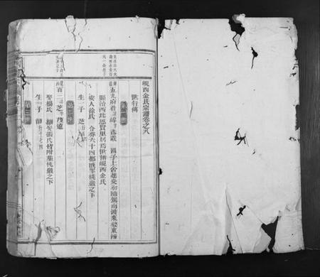 浙江金氏族谱-岘西金氏宗谱.pdf电子版插图1