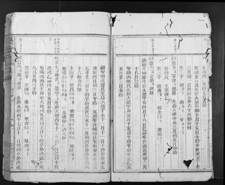 浙江金氏族谱-岘西金氏宗谱.pdf电子版插图4