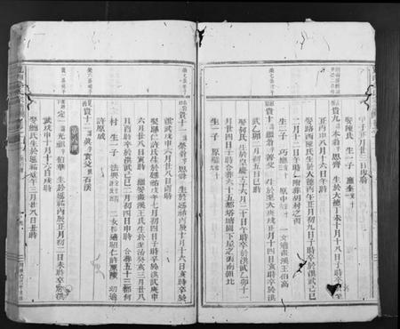 浙江金氏族谱-岘西金氏宗谱.pdf电子版插图5