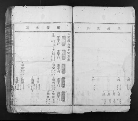 浙江金氏族谱-岘西金氏宗谱.pdf电子版插图5