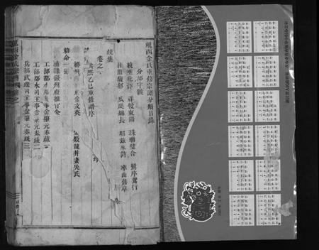浙江金氏族谱-岘西金氏宗谱 [残卷].pdf电子版插图2