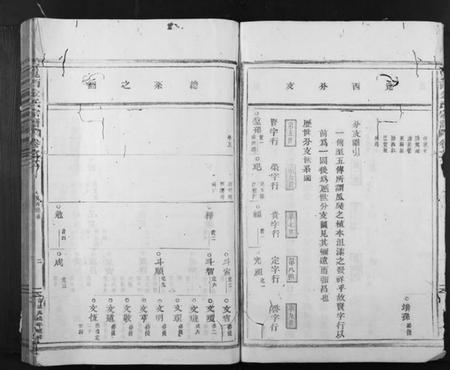 浙江金氏族谱-岘西金氏家谱 [46卷].pdf电子版插图2