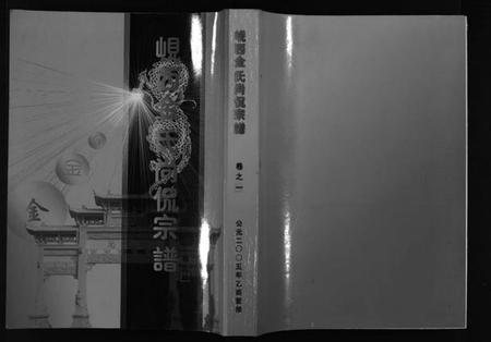 浙江金氏族谱-岘西金氏尚侃宗谱 [5卷].pdf电子版插图1