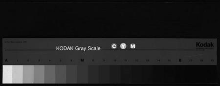 浙江潘氏族谱-崑阳潘氏宗谱 [10卷].pdf电子版