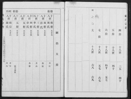湖北戴氏族谱-戴氏宗谱.pdf电子版插图2