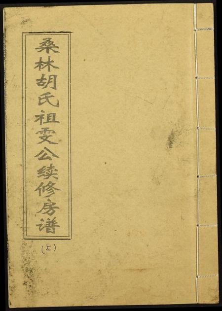 湖南胡氏族谱-桑林胡氏祖雯公续修房谱.pdf电子版插图