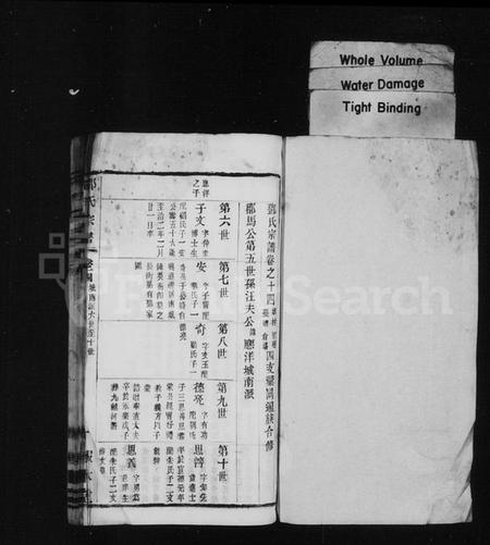 中国邓氏族谱-邓氏宗谱.pdf电子版插图1