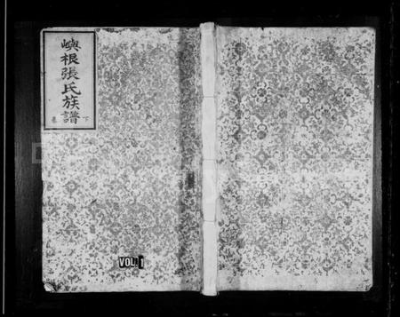 浙江张氏族谱-屿根张氏族谱.pdf电子版插图1