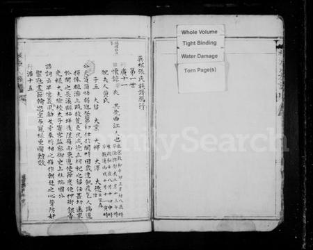 浙江张氏族谱-屿根张氏族谱.pdf电子版插图2