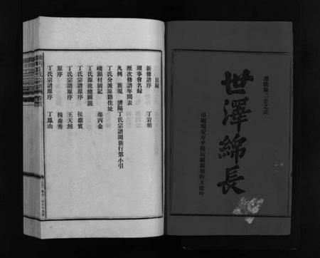 浙江丁氏族谱-巉川丁氏宗谱 [2卷,及卷首].pdf电子版插图3