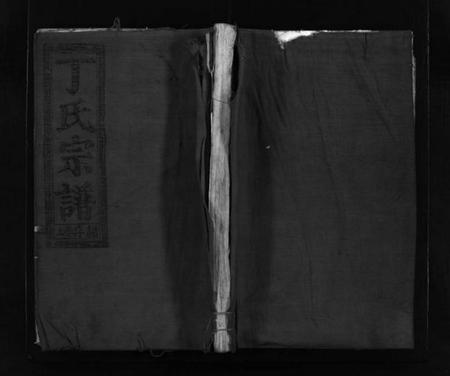 浙江丁氏族谱-巉川丁氏宗谱 [不分卷].pdf电子版插图1