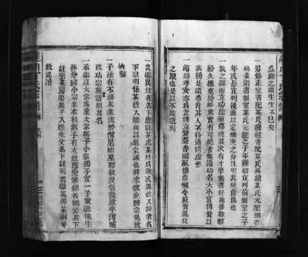 浙江丁氏族谱-巉川丁氏宗谱 [不分卷].pdf电子版插图5