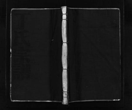 浙江丁氏族谱-巉川丁氏宗谱 [不分卷].pdf电子版插图1