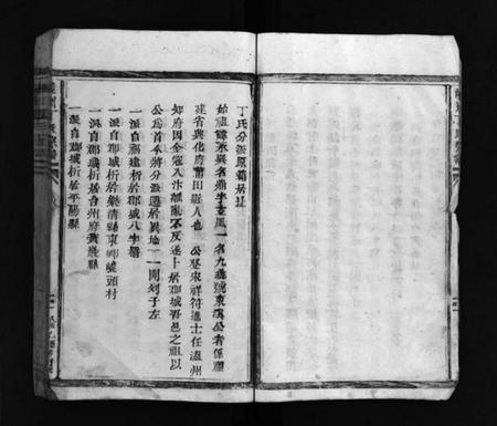 浙江丁氏族谱-巉川丁氏宗谱 [不分卷].pdf电子版插图5