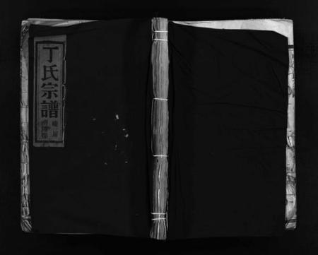 浙江丁氏族谱-巉川丁氏宗谱 [不分卷].pdf电子版插图1