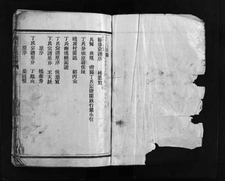 浙江丁氏族谱-巉川丁氏宗谱 [不分卷].pdf电子版插图2