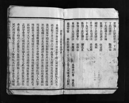 浙江丁氏族谱-巉川丁氏宗谱 [不分卷].pdf电子版插图3