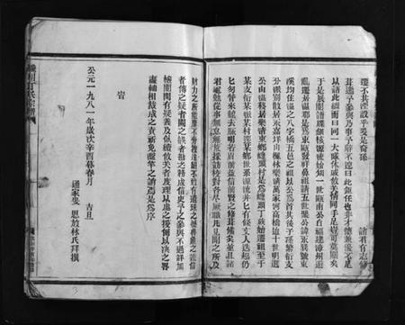 浙江丁氏族谱-巉川丁氏宗谱 [不分卷].pdf电子版插图4