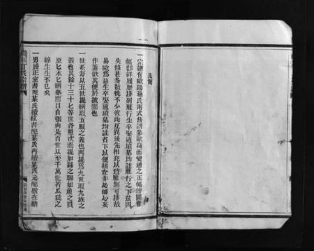 浙江丁氏族谱-巉川丁氏宗谱 [不分卷].pdf电子版插图5