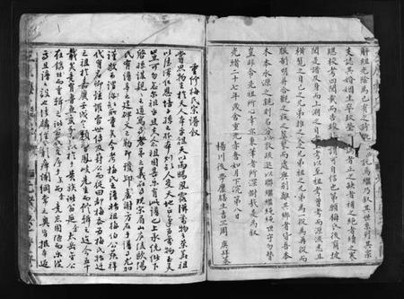 浙江梅氏族谱-左原梅氏宗谱 [不分卷].pdf电子版插图3