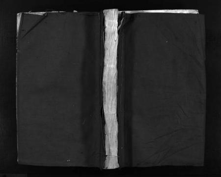 浙江王氏族谱-左原王氏宗谱 [不分卷].pdf电子版插图1