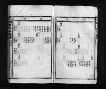 浙江王氏族谱-左原王氏宗谱 [不分卷].pdf电子版插图4