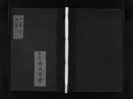 浙江倪氏族谱-巨渡倪氏宗谱 [4卷].pdf电子版插图1