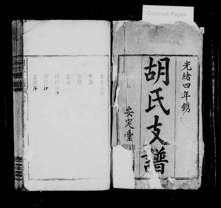 湖南胡氏族谱-胡氏支谱 [残卷].pdf电子版插图2