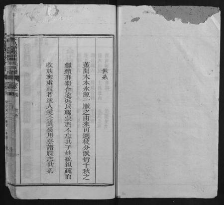 浙江傅氏族谱-平昌塘岭头傅氏族谱.pdf电子版插图1