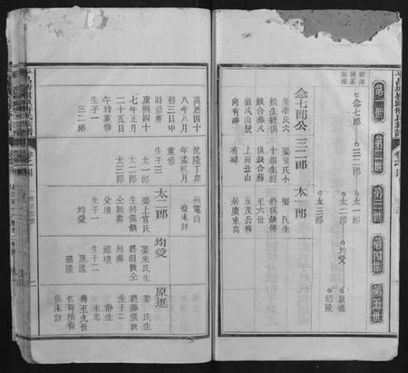 浙江傅氏族谱-平昌塘岭头傅氏族谱.pdf电子版插图2