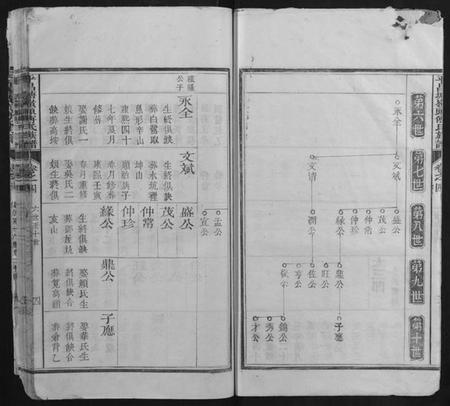 浙江傅氏族谱-平昌塘岭头傅氏族谱.pdf电子版插图4