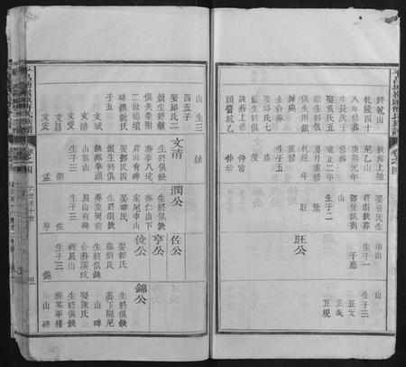 浙江傅氏族谱-平昌塘岭头傅氏族谱.pdf电子版插图5